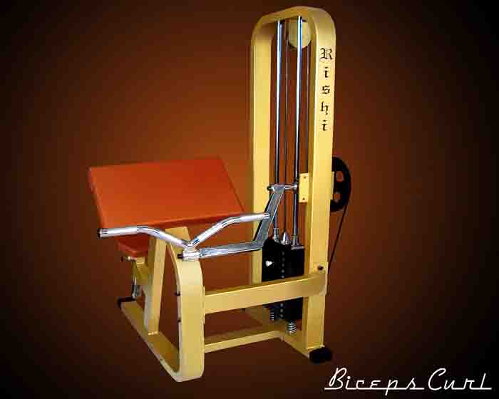 Manufacturers Exporters and Wholesale Suppliers of Biceps Curl JODHPUR Rajasthan
